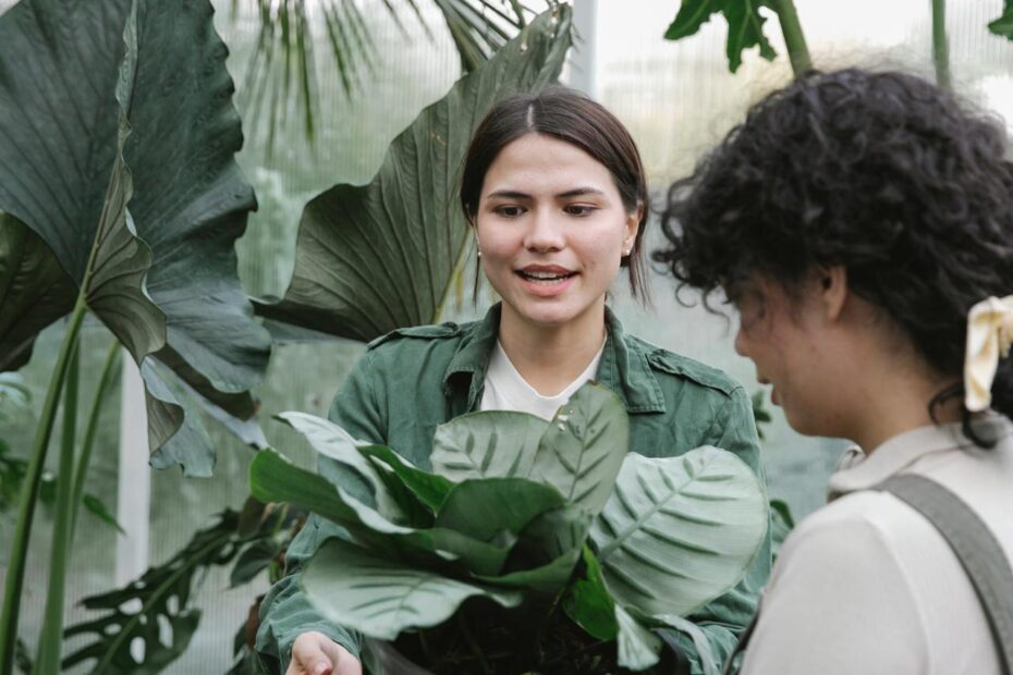 2 jeunes femmes travaillent dans une serre de plantes